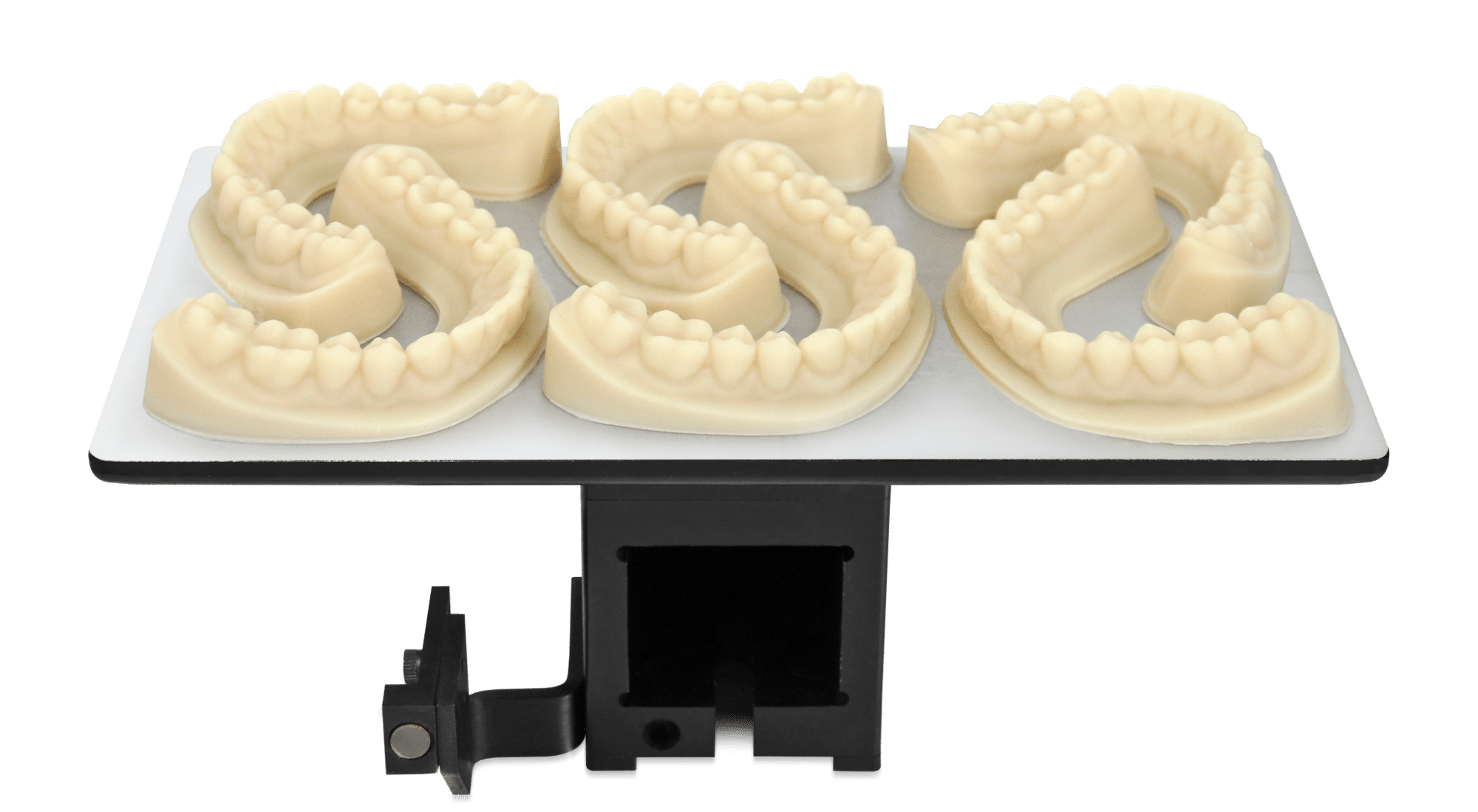 Desktop_Health_Model_Z_Ortho_Arches Desktop_Health_Model_Z_Ortho_Arches