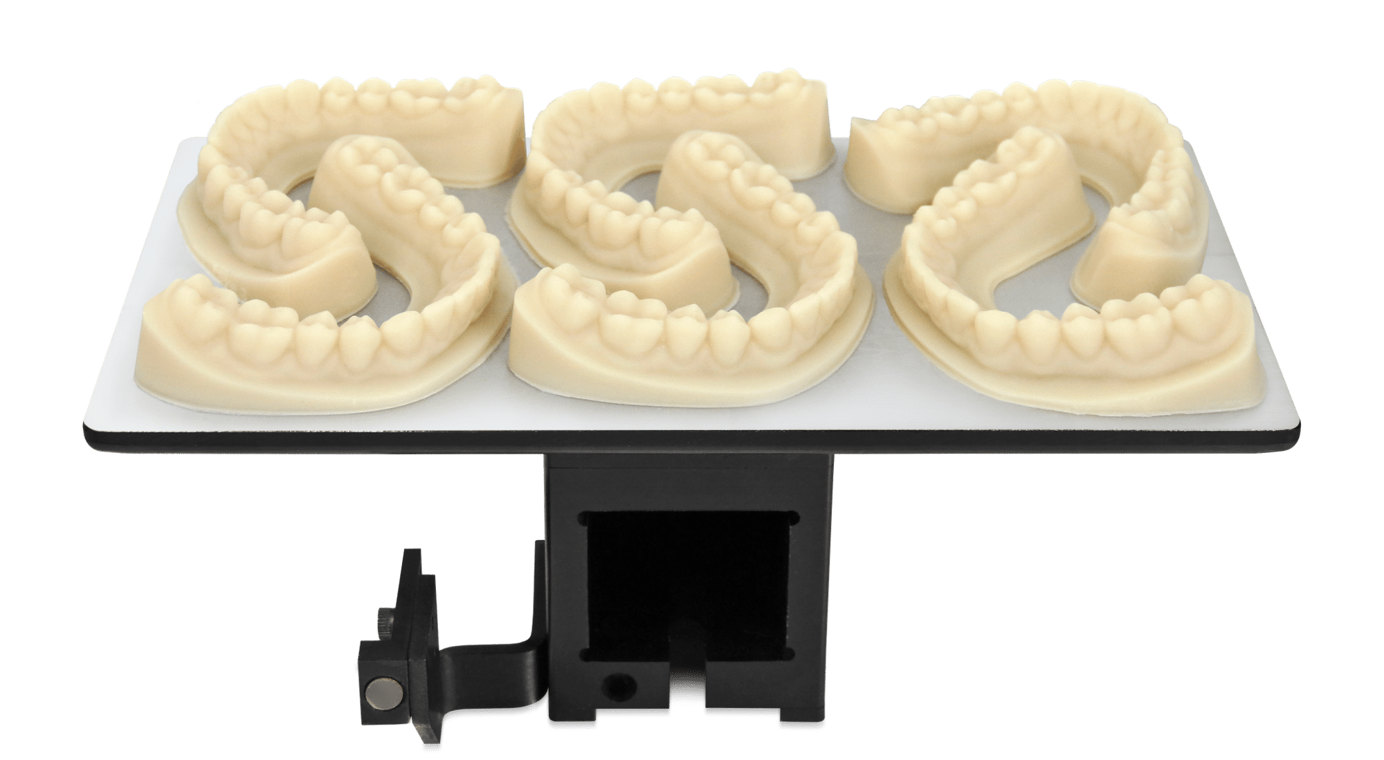 Desktop_Health_Model_Z_Ortho_Arches